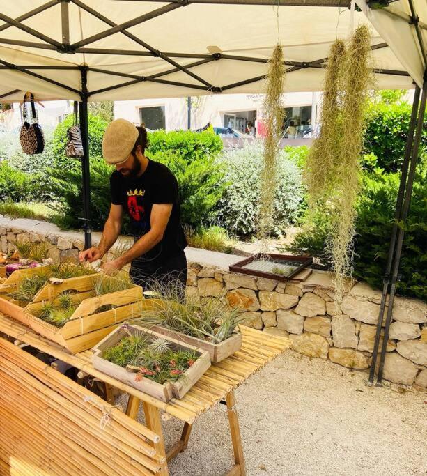 Apartamento Mediterraneo Entre Vinedos Jesus Pobre Luaran gambar
